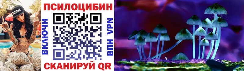 Псилоцибиновые грибы Magic Shrooms  где найти   Нижний Новгород 
