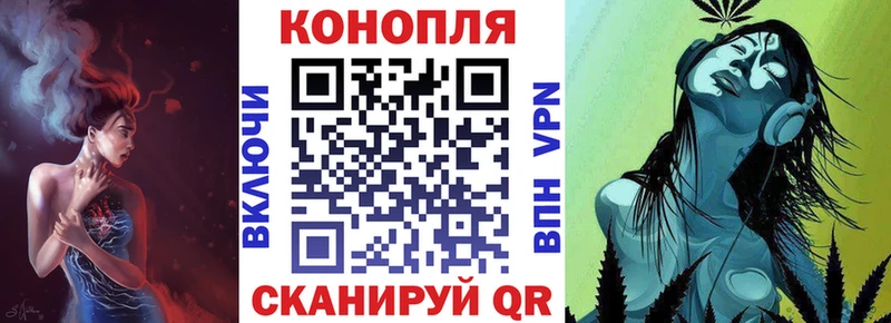 Бошки Шишки Amnesia  Нижний Новгород 